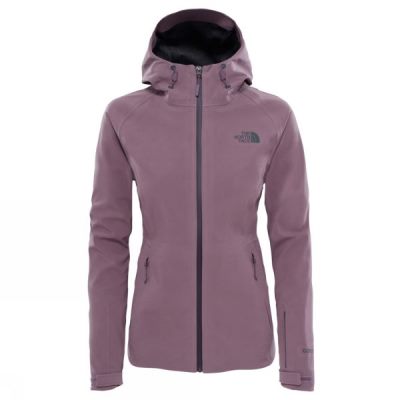 Chaquetas The North Face Apex Flex Shell Mujer - Burdeos - Chile VUM213049